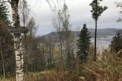 IMG_1003