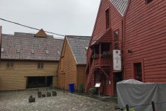 IMG_1031