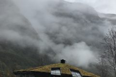 IMG_1125