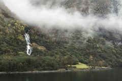 IMG_1153