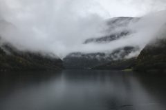 IMG_1154