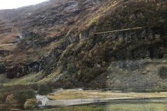 IMG_1297
