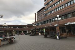 IMG_1357