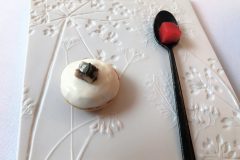 Dish-3