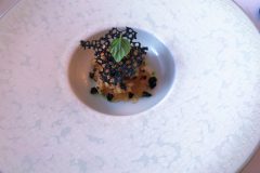 Dish-4