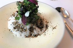 Dish-5