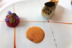 Dish-7
